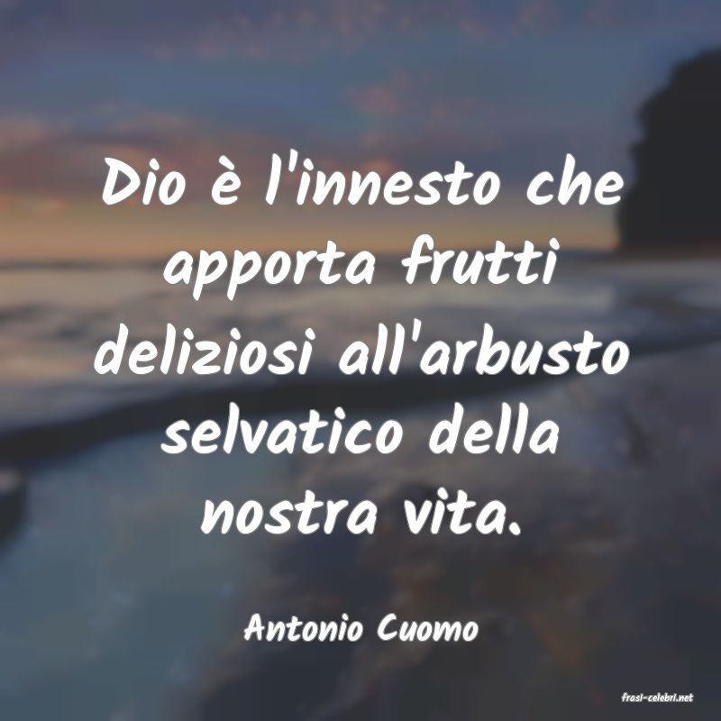 frasi di  Antonio Cuomo
