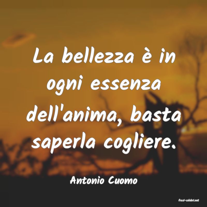 frasi di  Antonio Cuomo
