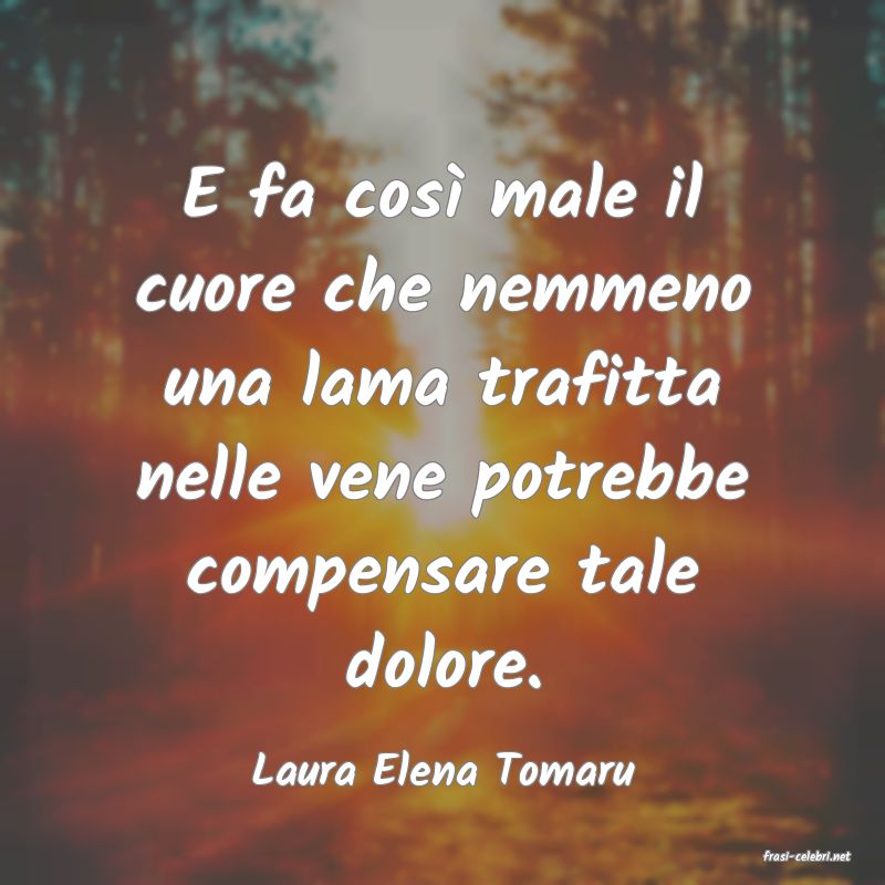 frasi di  Laura Elena Tomaru
