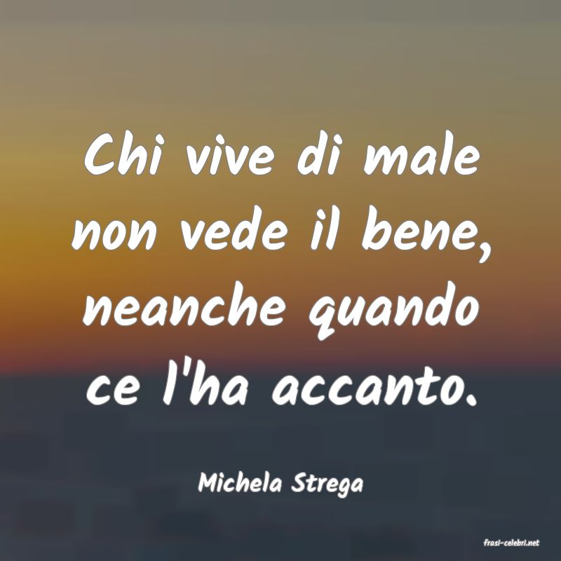 frasi di  Michela Strega
