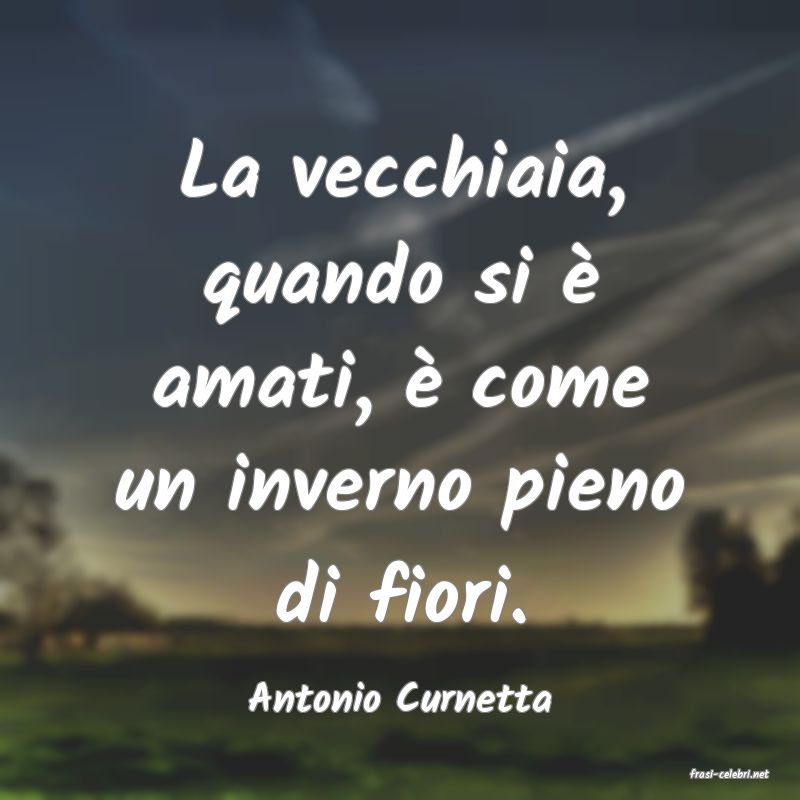 frasi di  Antonio Curnetta

