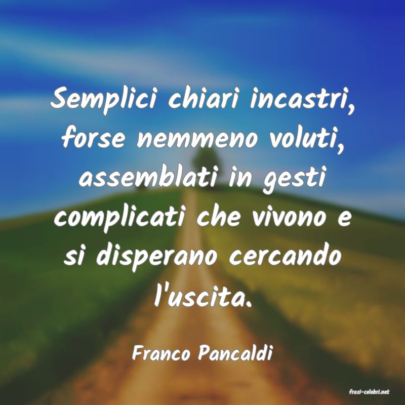 frasi di  Franco Pancaldi
