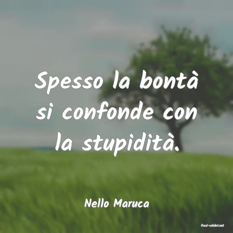frasi di  Nello Maruca
