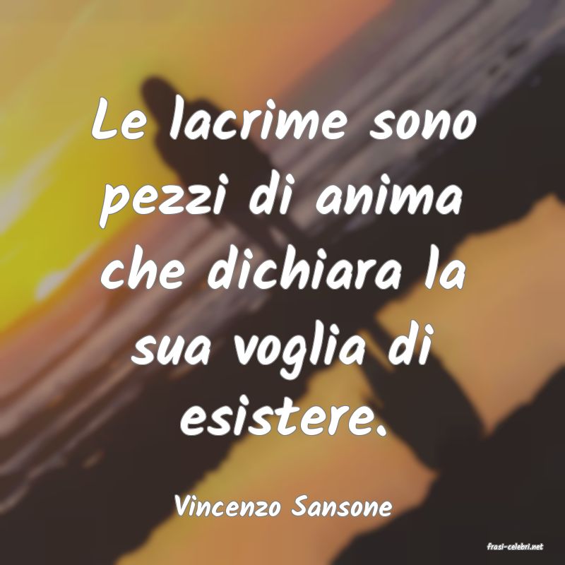 frasi di Vincenzo Sansone
