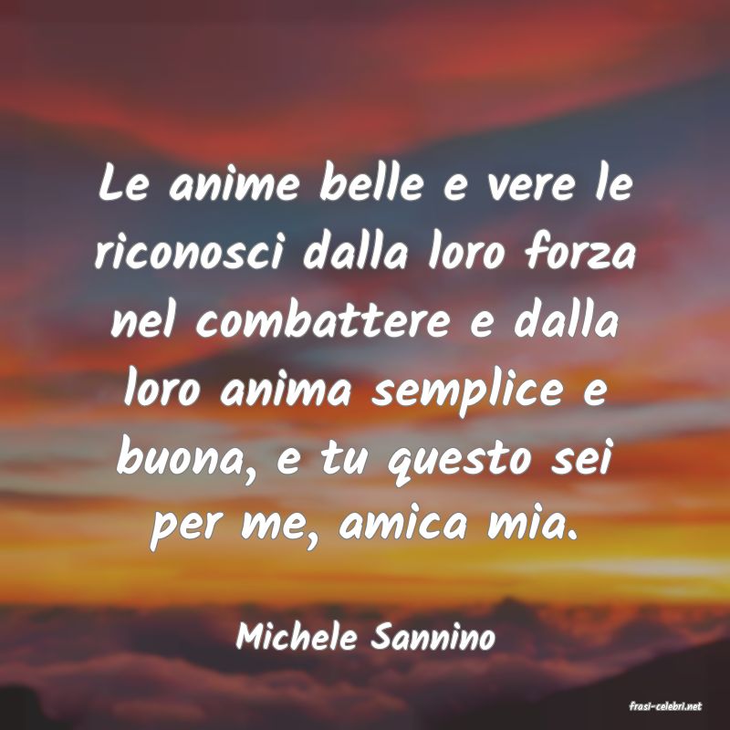 frasi di  Michele Sannino
