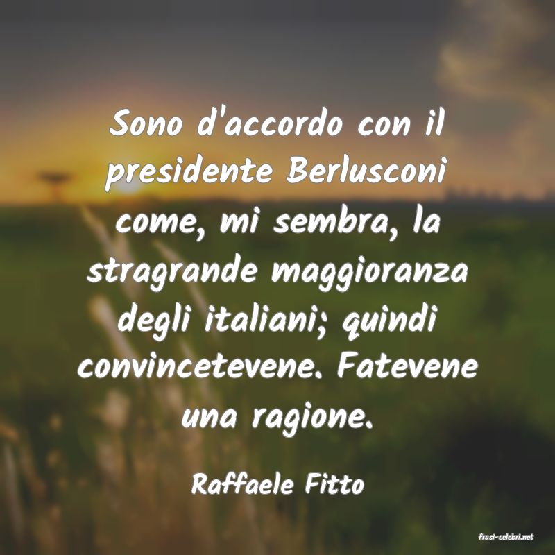 frasi di  Raffaele Fitto
