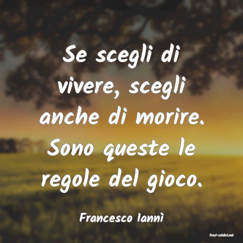 frasi di Francesco Iann