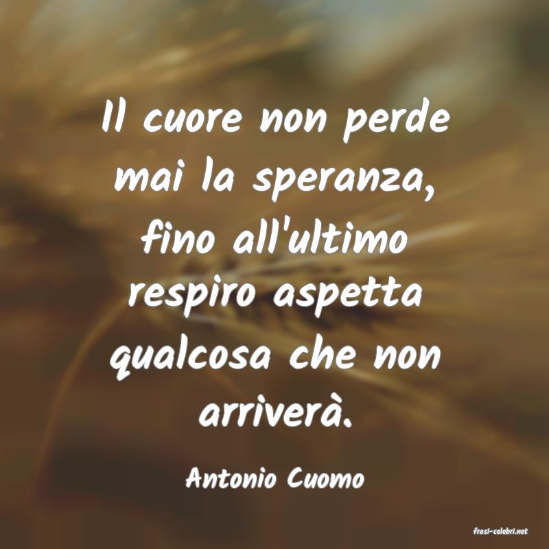 frasi di  Antonio Cuomo
