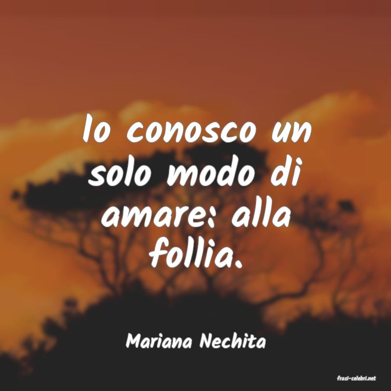 frasi di  Mariana Nechita
