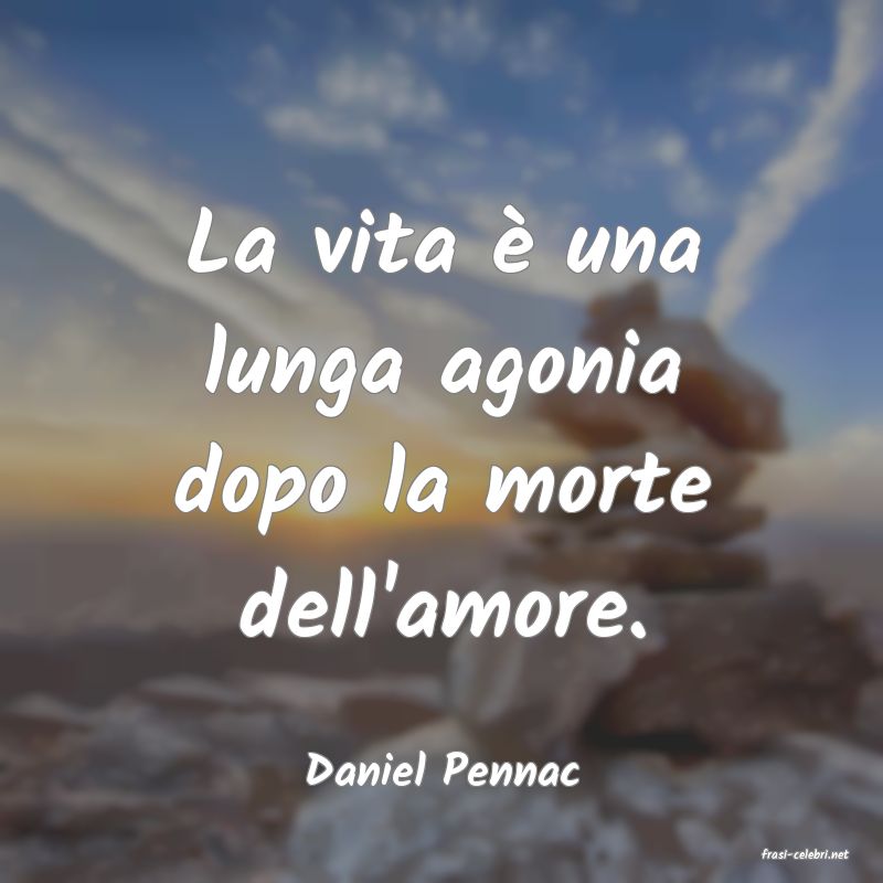 frasi di  Daniel Pennac
