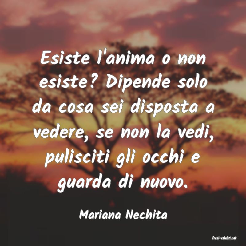 frasi di  Mariana Nechita
