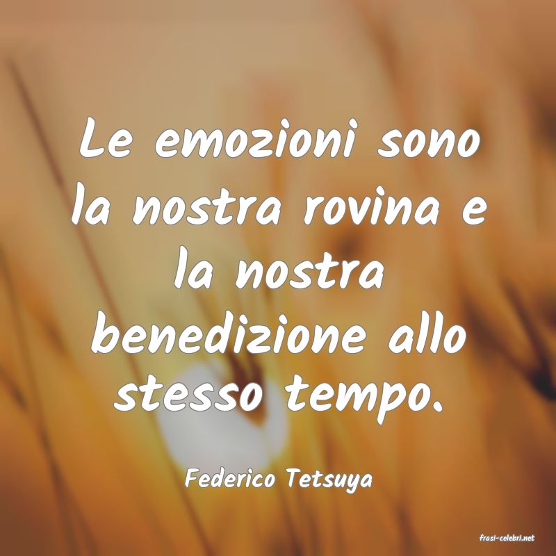 frasi di  Federico Tetsuya
