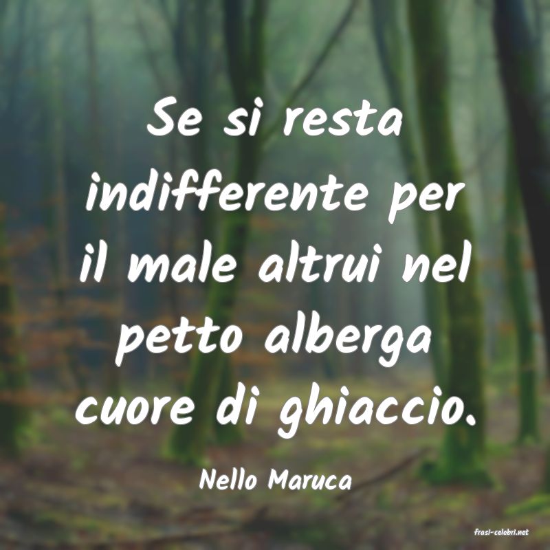 frasi di  Nello Maruca

