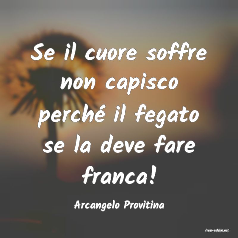frasi di  Arcangelo Provitina
