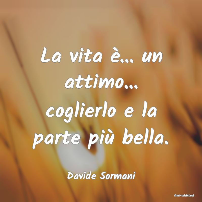 frasi di  Davide Sormani
