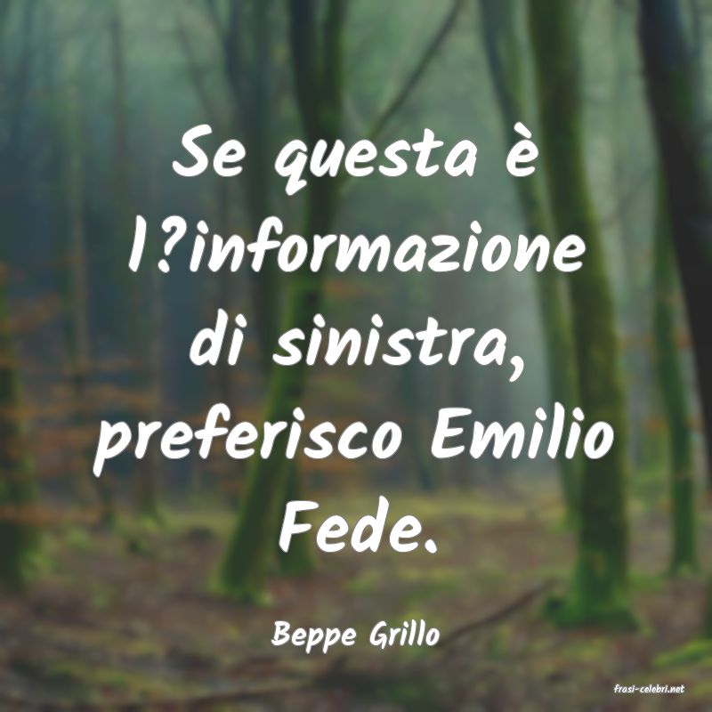 frasi di Beppe Grillo
