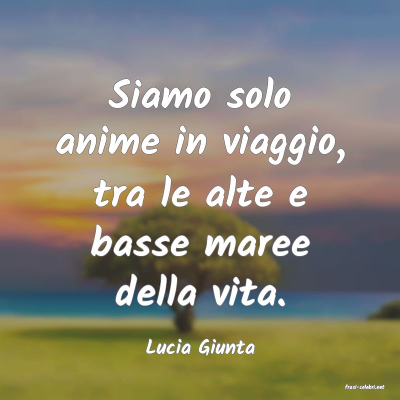 frasi di  Lucia Giunta
