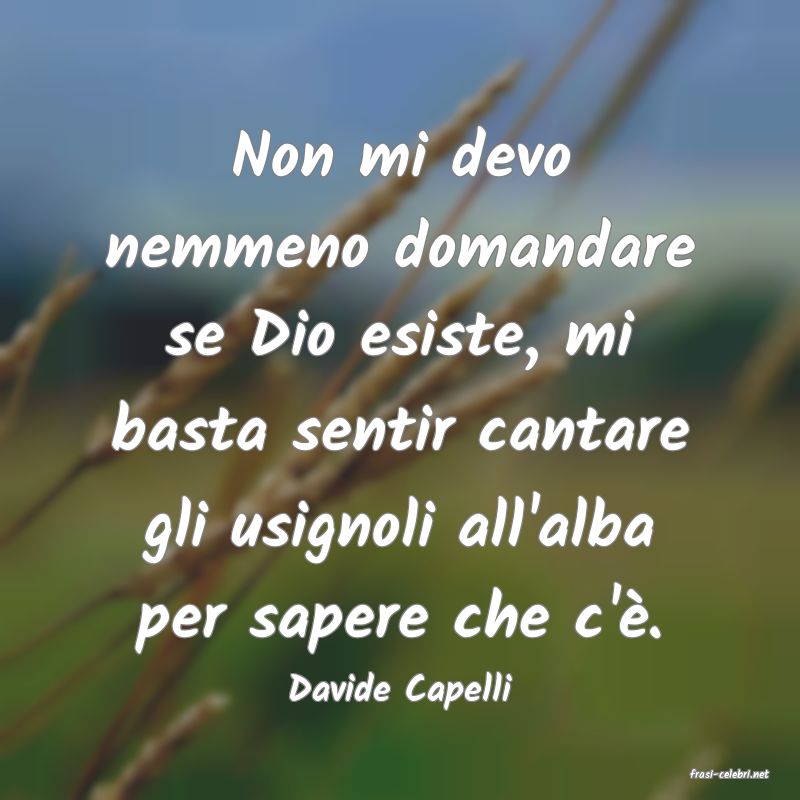 frasi di  Davide Capelli
