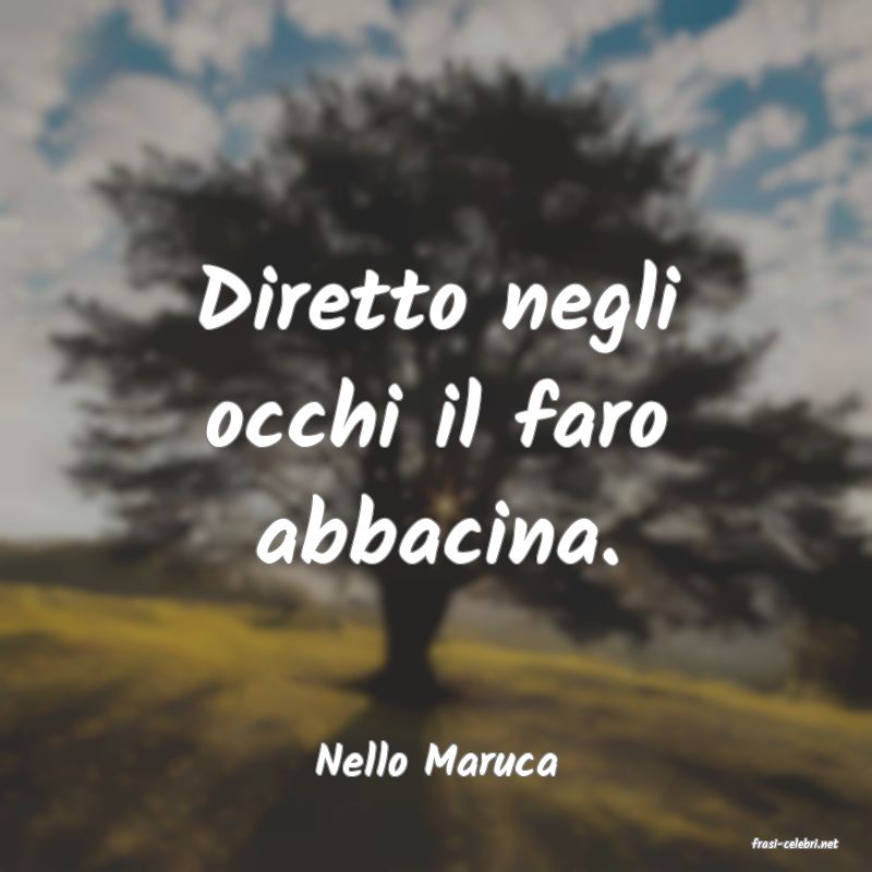 frasi di  Nello Maruca

