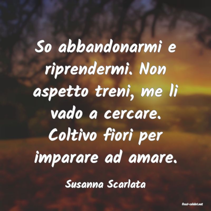 frasi di  Susanna Scarlata
