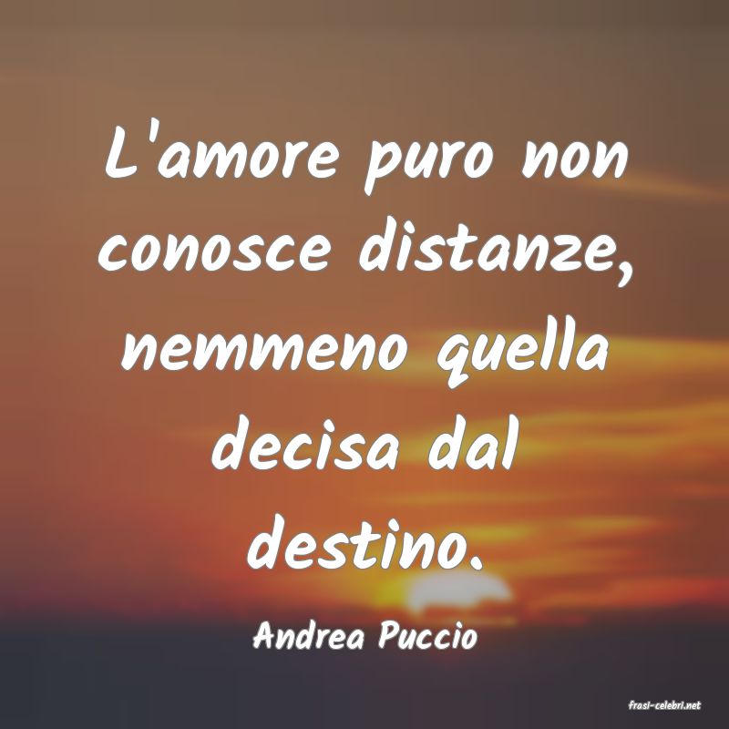 frasi di  Andrea Puccio
