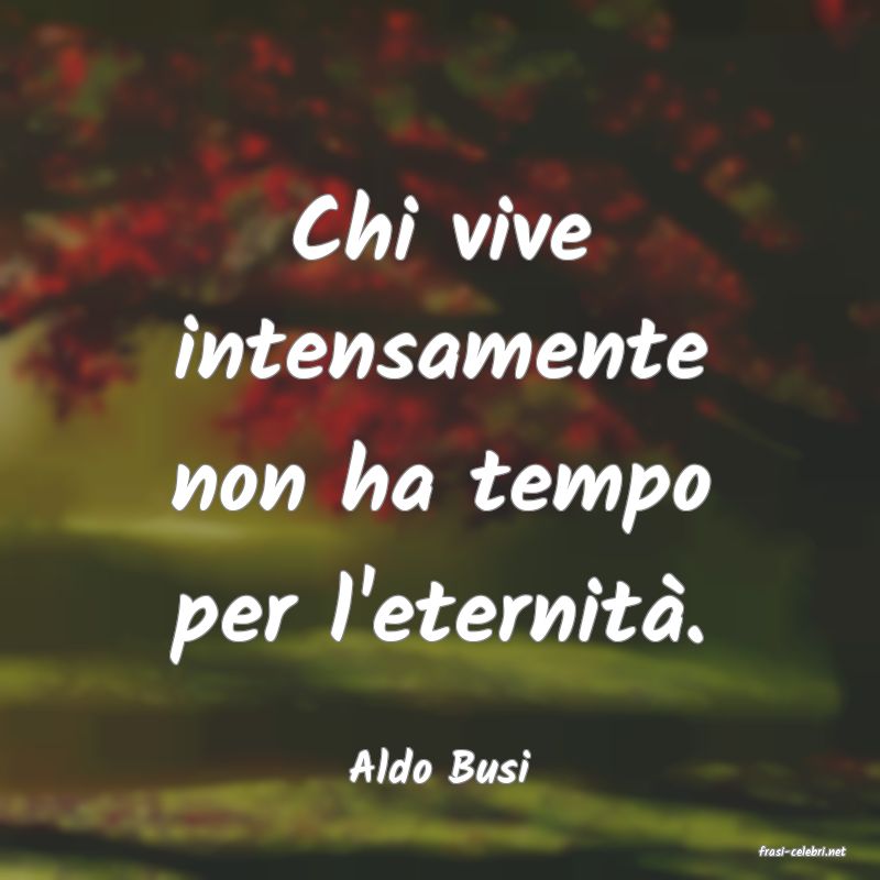 frasi di  Aldo Busi
