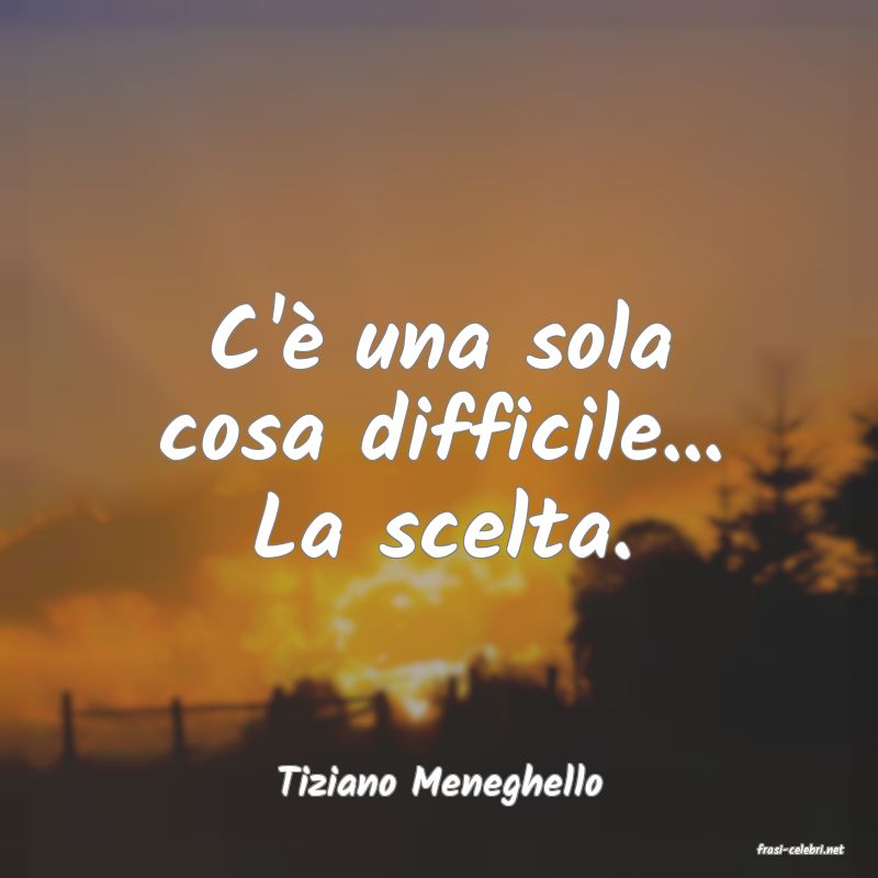 frasi di Tiziano Meneghello