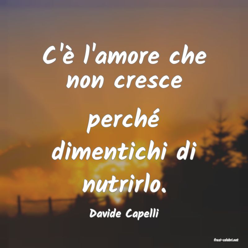 frasi di  Davide Capelli
