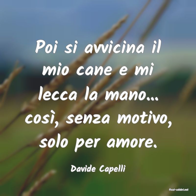 frasi di  Davide Capelli
