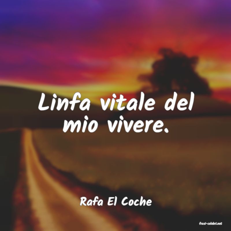 frasi di  Rafa El Coche
