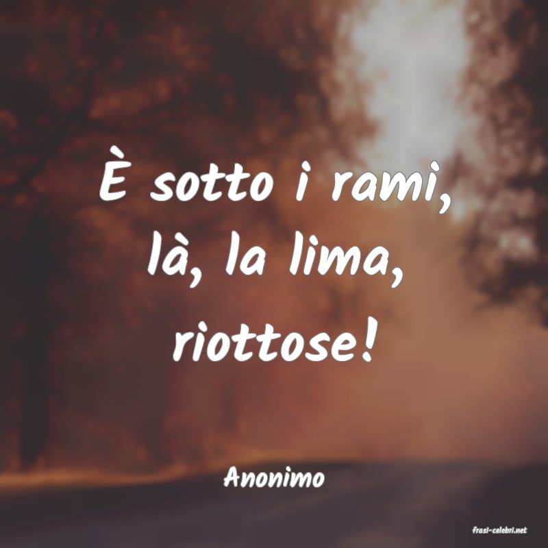 frasi di  Anonimo
