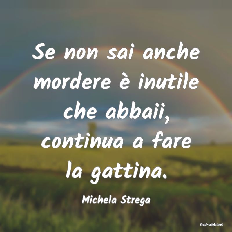 frasi di  Michela Strega
