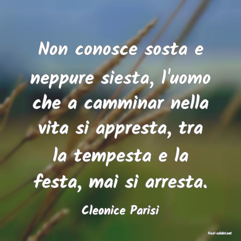 frasi di  Cleonice Parisi

