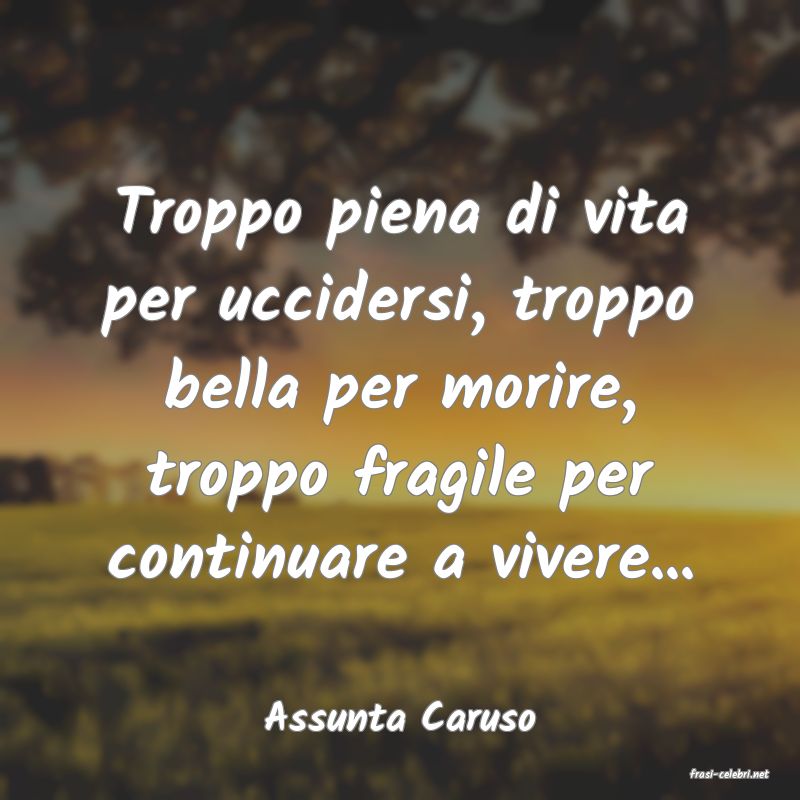 frasi di Assunta Caruso