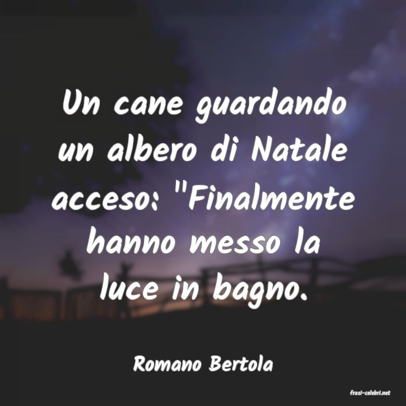 frasi di Romano Bertola