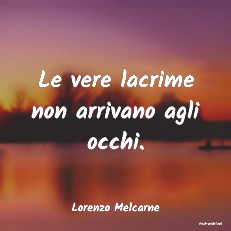 frasi di Lorenzo Melcarne