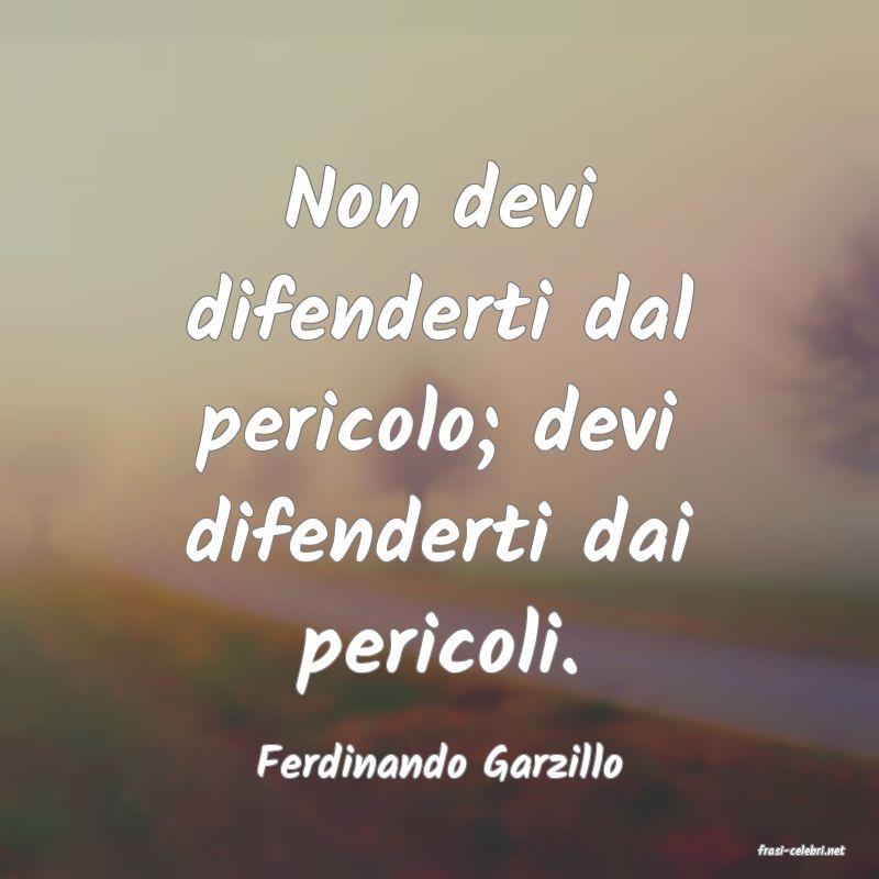frasi di  Ferdinando Garzillo
