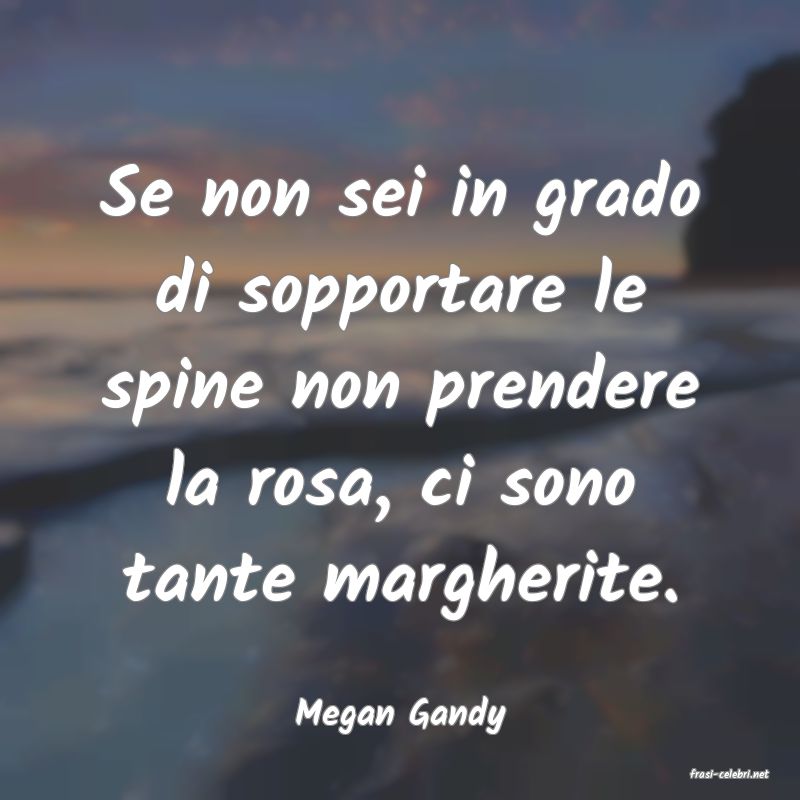 frasi di Megan Gandy