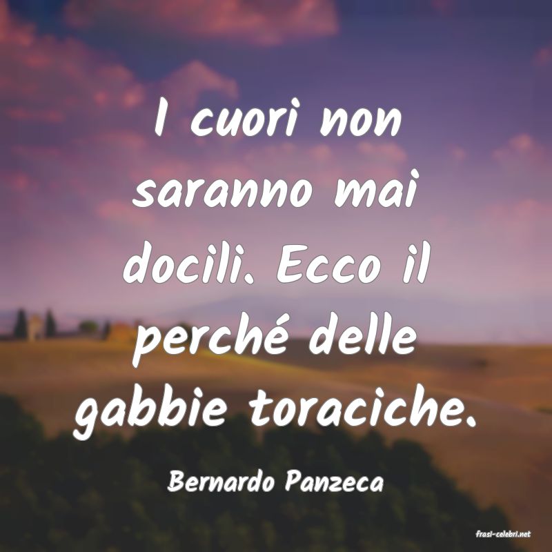 frasi di  Bernardo Panzeca
