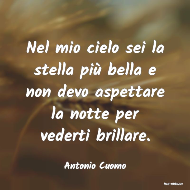 frasi di  Antonio Cuomo
