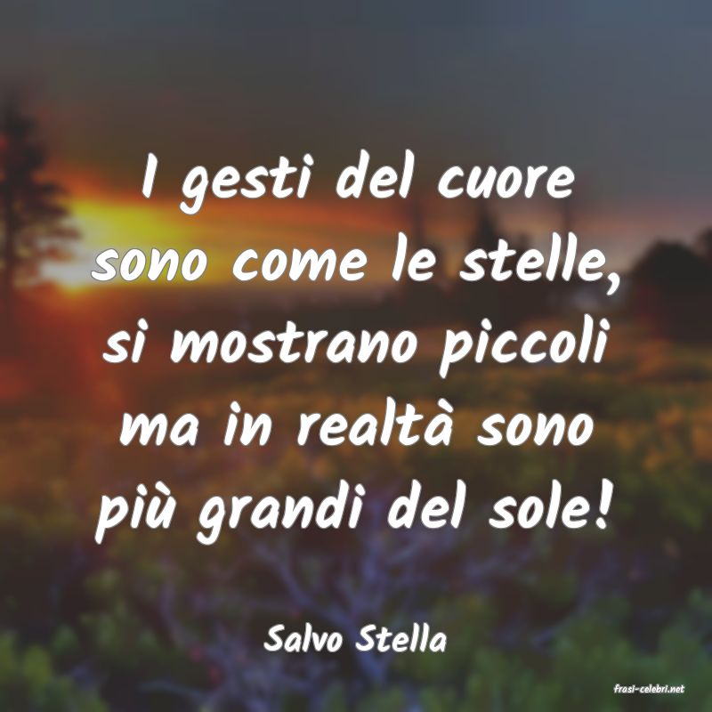 frasi di Salvo Stella