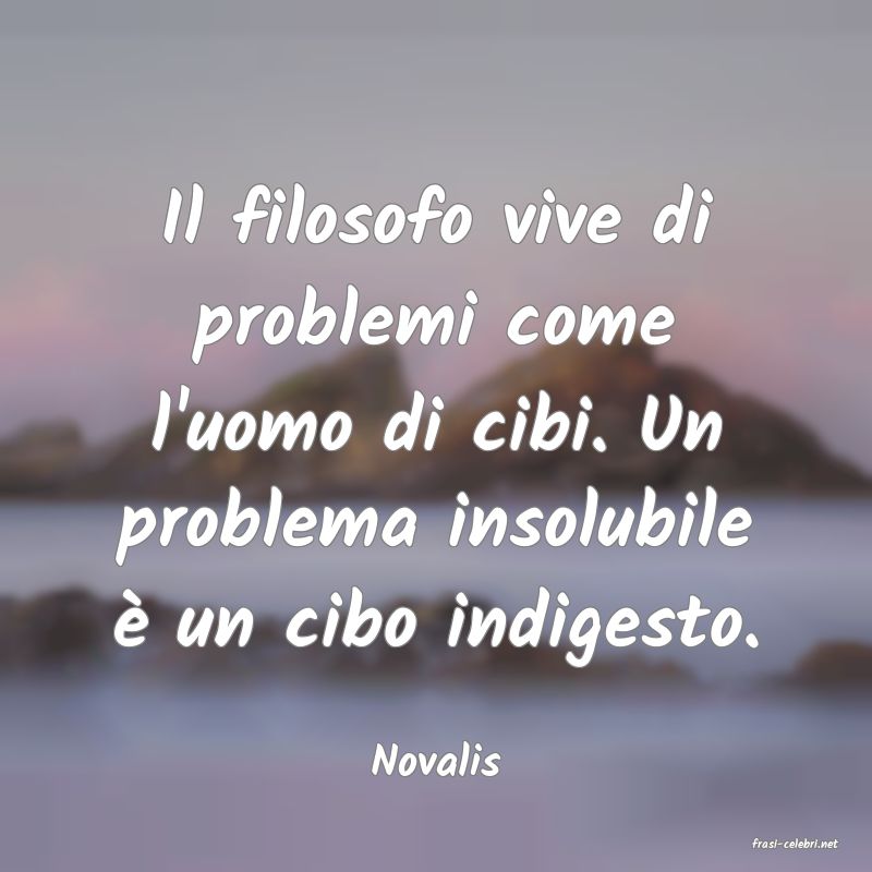 frasi di  Novalis
