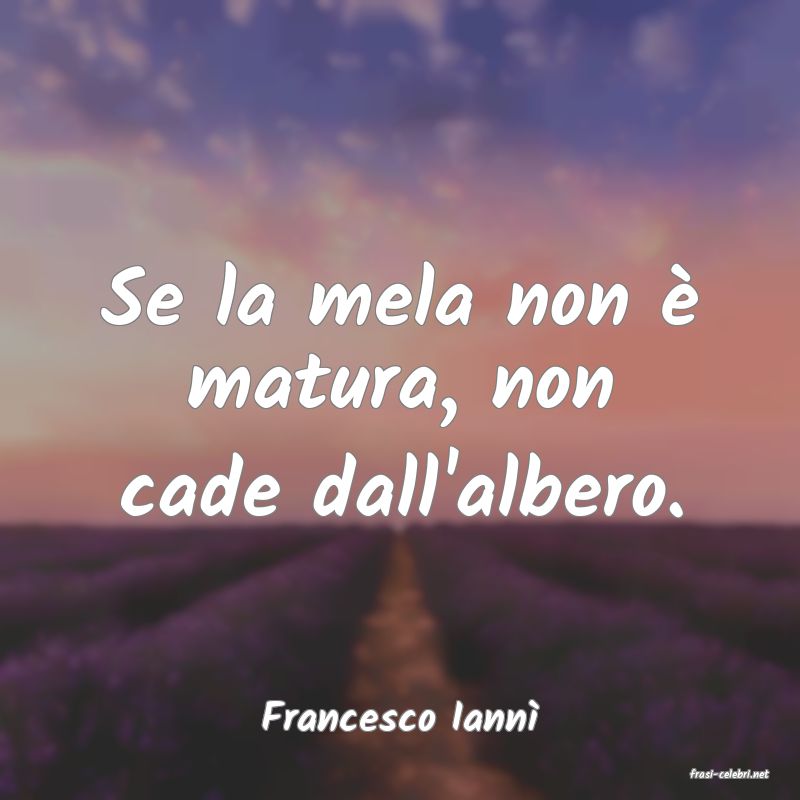 frasi di Francesco Iann