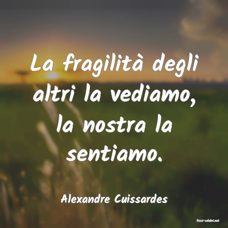 frasi di  Alexandre Cuissardes
