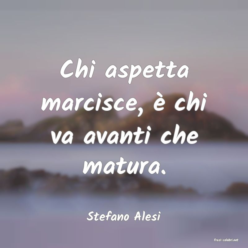 frasi di  Stefano Alesi
