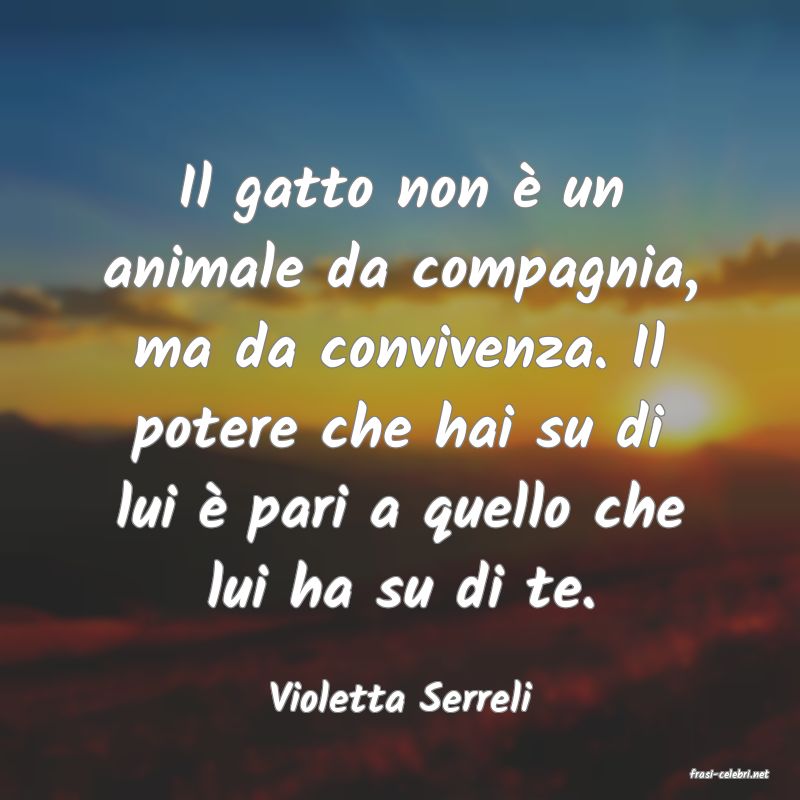 frasi di  Violetta Serreli
