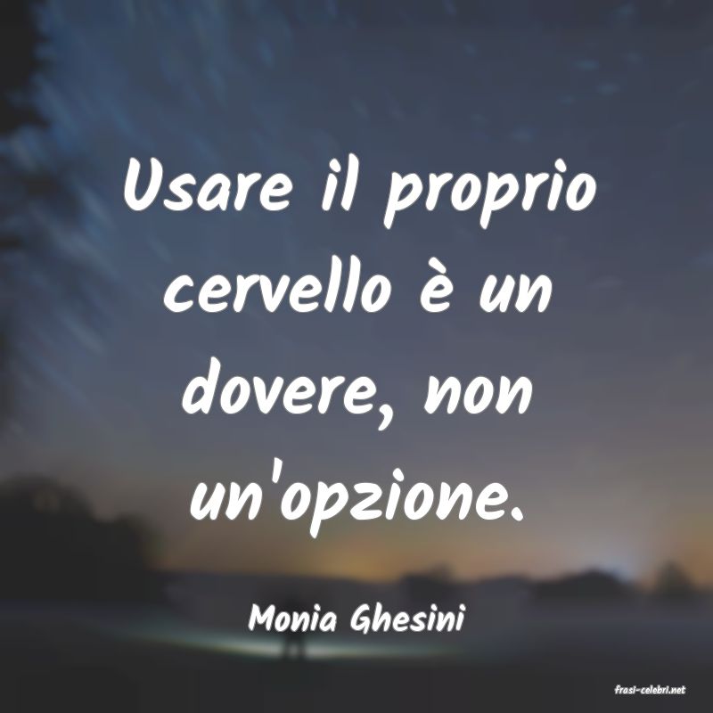 frasi di  Monia Ghesini
