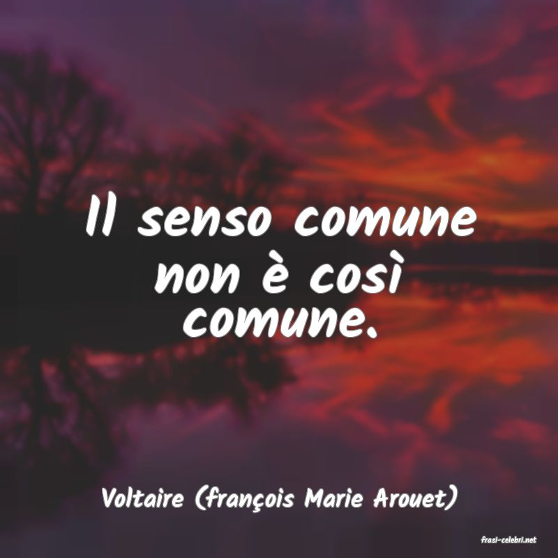 frasi di Voltaire (franois Marie Arouet)