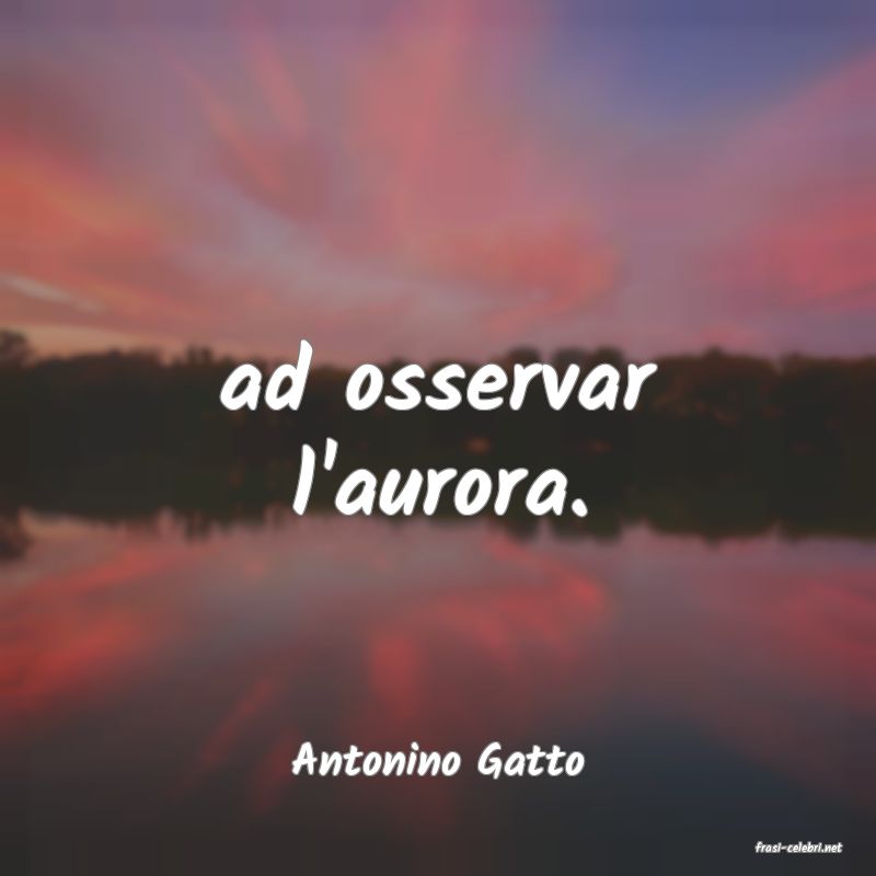 frasi di  Antonino Gatto
