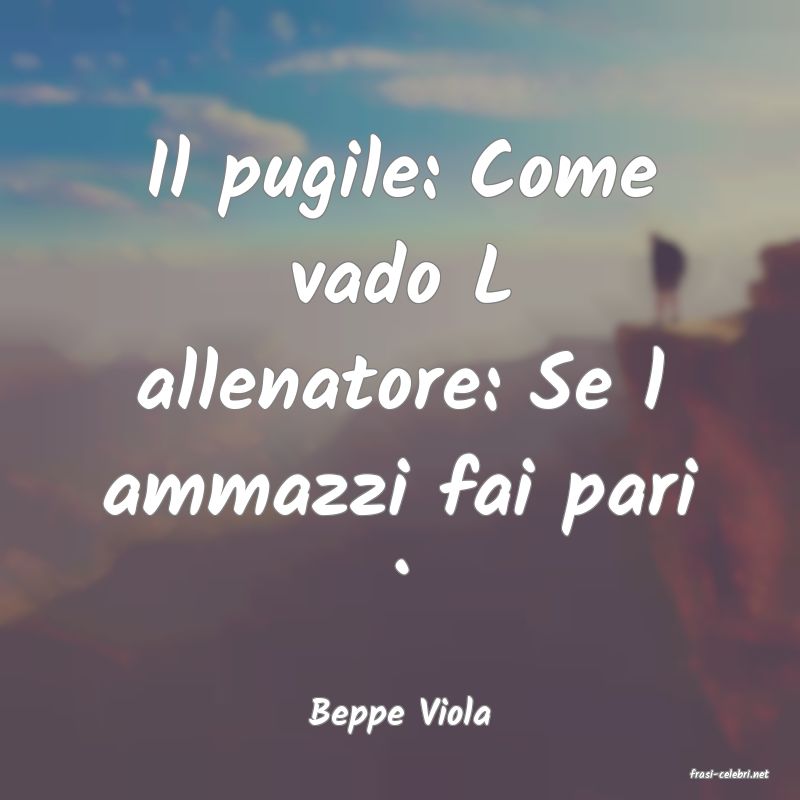 frasi di Beppe Viola